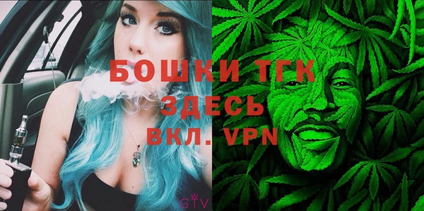 PSILOCYBIN Бородино