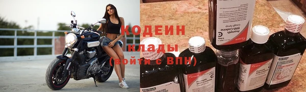 PSILOCYBIN Бородино