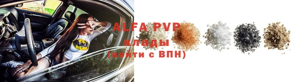 PSILOCYBIN Бородино