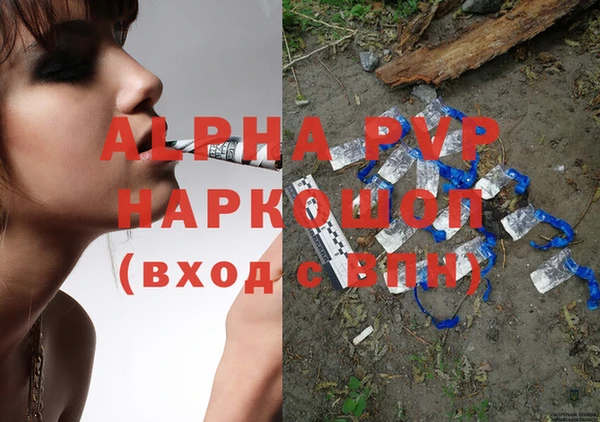 прущие грибы Наволоки