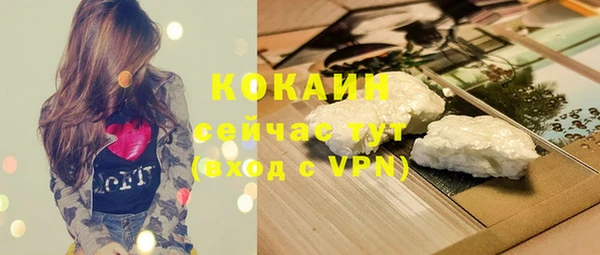 PSILOCYBIN Бородино