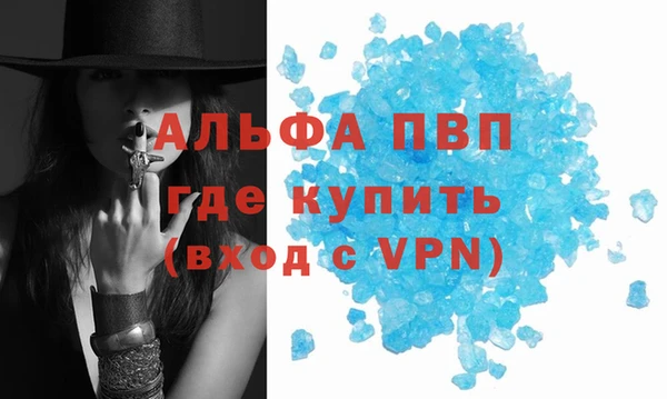 PSILOCYBIN Бородино
